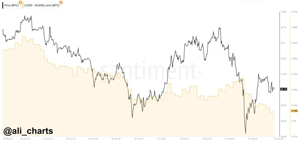 Is There More To Come in Bitcoins Future?