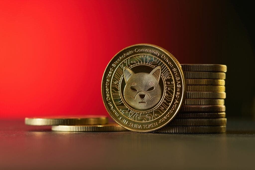 shiba inus surge sparks predictions of a top 10 crypto ranking 1